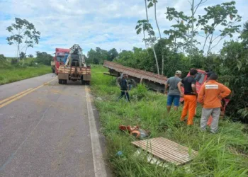 Motorista perde controle de caminhão, cai em ribanceira e precisa ser guinchado na BR-364