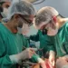 Estado realiza mais um transplante de fígado nessa madrugada de quarta-feira na Fundhacre. Foto: cedida