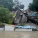 FAKE NEWS: Vídeo de casa sendo arrastada pelas correntezas não é em Rio Branco