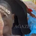 Criança de 4 anos morre afogada em igarapé no interior do Acre