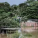 Foto: Juan Diaz