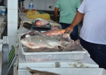Preço do quilo do peixe deve subir nos próximos dias em Rio Branco