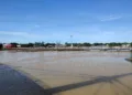 Rio Acre alcança 17 metros e invade Calçadão da Gameleira em Rio Branco; veja o vídeo