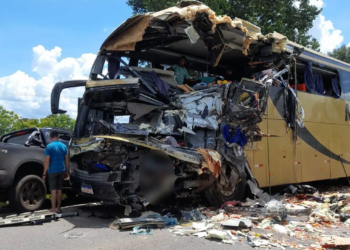 Ônibus e carreta bateram de frente em acidente na BR-174 — Foto: Reprodução