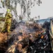 Corpo de Bombeiros já realiza ações preventivas de combate às queimadas em Rio Branco