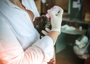 Foto: Renilson Rodrigues/Assecom