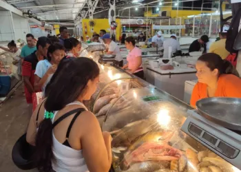 Venda de peixe aumenta no Mercado Elias Mansour, mas consumidores reclamam do preço