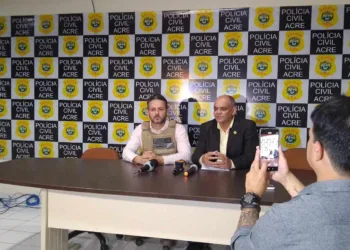 'Fiquem tranquilos que a polícia está trabalhando', diz delegado sobre investigação de perfis fake