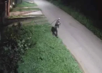Jornalista divulga imagens de bandido furtando cabos de telefonia; veja o vídeo