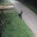 Jornalista divulga imagens de bandido furtando cabos de telefonia; veja o vídeo