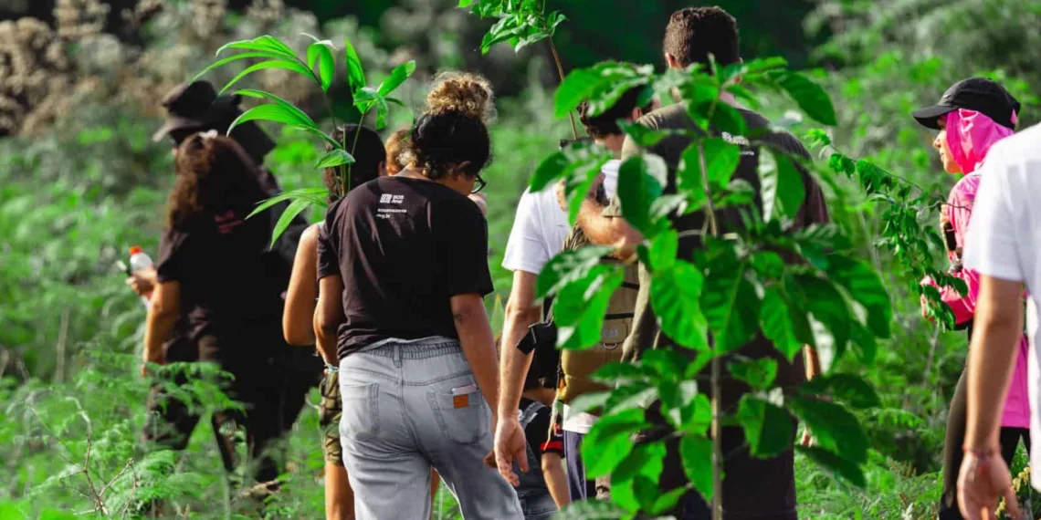 SOS Amazônia realiza plantio de árvores para recuperação da nascente do Rio Iquiri