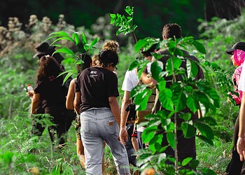 SOS Amazônia realiza plantio de árvores para recuperação da nascente do Rio Iquiri