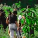 SOS Amazônia realiza plantio de árvores para recuperação da nascente do Rio Iquiri