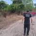 Equipes de Peritos do Departamento de Polícia Técnica Científica e Corpo de Bombeiros Militar estiveram no local, mas o veículo não foi retirado da água porque estava escurecendo nesta quinta-feira, 13, as equipes retornarão para tentar retirar o carro de dentro do igarapé. 