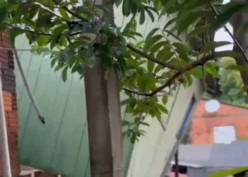 Casa desaba no momento em que o comandante da Defesa Civil gravava vídeo