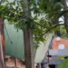 Casa desaba no momento em que o comandante da Defesa Civil gravava vídeo