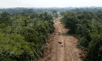 MPF recorre para suspender construção de estrada que liga Rodrigues Alves a Porto Walter devido a impacto em terras indígenas