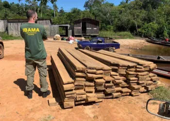 Ibama desmente bloqueio de 95% das empresas madeireiras do Acre e apreensão de gado