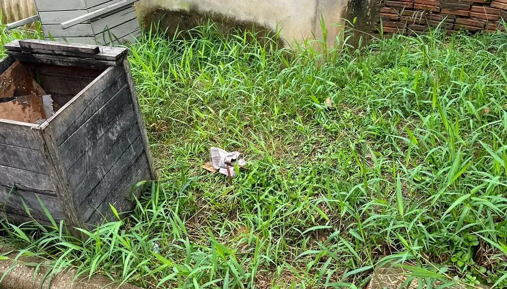 Bebê foi abandonado ao lado de lixo no interior do Acre — Foto: Arquivo/Conselho Tutelar