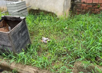Bebê foi abandonado ao lado de lixo no interior do Acre — Foto: Arquivo/Conselho Tutelar