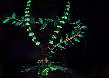 Foto do Paulo Desana, artista indígena aprovado no Ocupa CCVM 2022/2021