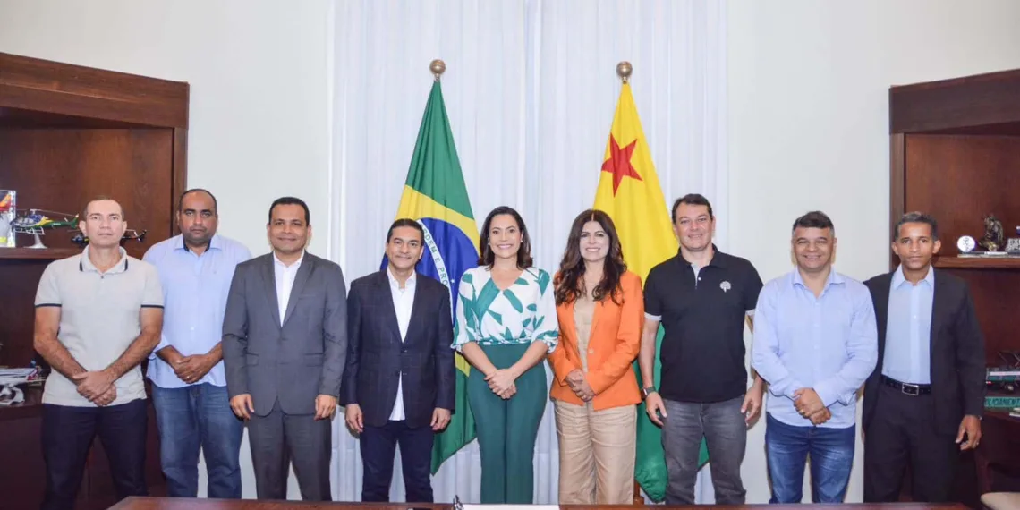 Estiveram na reunião os deputados federais Antônia Lúcia e Roberto Duarte; e os estaduais, Tadeu Hassem, Gene Diniz e Clodoaldo Rodrigues. Foto: Felipe Freire/Secom