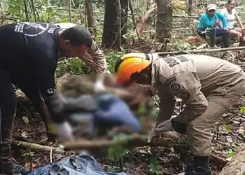 No Acre, trabalhador morre após árvore cair sobre sua cabeça