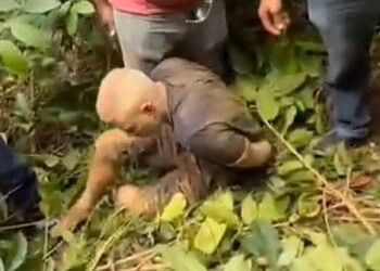 Foragidos responsáveis por onda de furtos são presos no Juruá