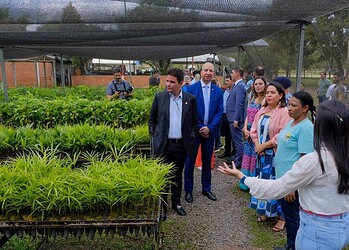 Governador visitou ainda a casa de sombra do viveiro. Foto: Alexandre Cruz-Noronha