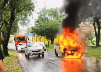 Carro pega fogo no Parque da Maternidade e motorista diz que 'só deu tempo de sair'