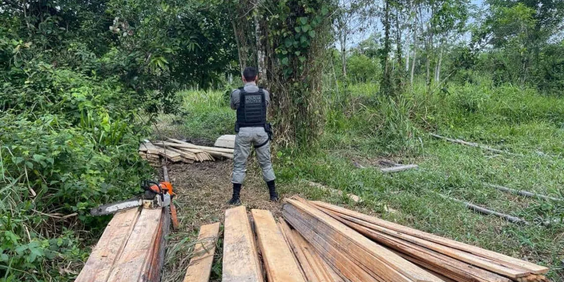 Homem é preso por invadir propriedade e cortar madeira ilegalmente no interior do Acre