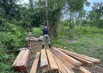 Homem é preso por invadir propriedade e cortar madeira ilegalmente no interior do Acre