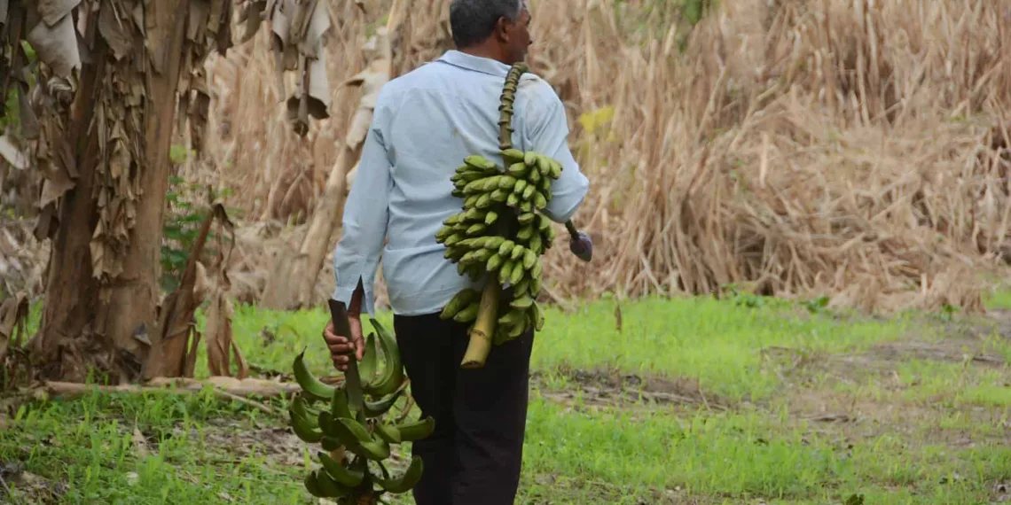 'Perdi 80% da minha produção', diz agricultor atingido pela enchente do Rio Acre ao pedir ajuda do Poder Público