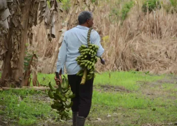 'Perdi 80% da minha produção', diz agricultor atingido pela enchente do Rio Acre ao pedir ajuda do Poder Público