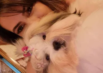 Influencer acreana leva cadelinha para cirurgia de castração e animal morre em hospital veterinário do Acre: 'levei minha filha pra morrer'
