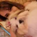 Influencer acreana leva cadelinha para cirurgia de castração e animal morre em hospital veterinário do Acre: 'levei minha filha pra morrer'