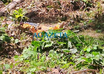 Polícia identifica corpo de homem encontrado amarrado e com coração arrancado