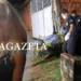 Mulher que estava desaparecida desde domingo é encontrada morta dentro de casa