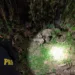 PRF resgata bicho-preguiça às margens de rodovia no Acre; veja o vídeo