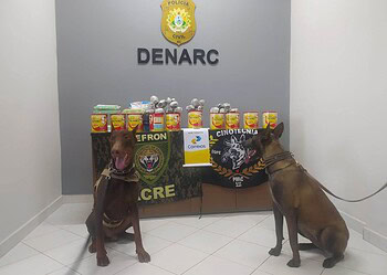 Cães policiais encontram mais de 2kg de droga em encomendas dos Correios
