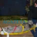Criminosos invadem casa, executam homem e deixam esposa ferida
