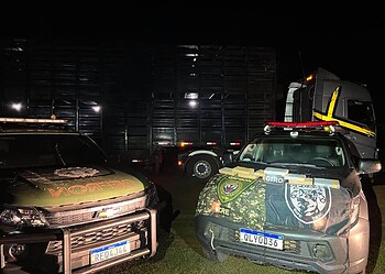 Casal é preso transportando quase 10kg de cocaína em caminhão boiadeiro no Acre