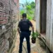 Traficante que cultivava maconha no quintal de casa é preso em Cruzeiro do Sul