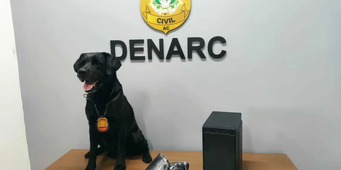 Cão policial encontra mais de 3kg de droga em computador que seria enviado para o ES