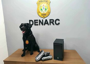 Cão policial encontra mais de 3kg de droga em computador que seria enviado para o ES