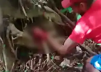 Faccionados decepam mão de homem acusado de roubos no interior do Acre