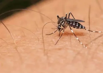 Acre teve quase 5 mil casos prováveis de dengue nos quatro meses de 2023