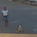 Mulher é flagrada tentando chutar cachorro de rua e ameaça: 'vou matar ele'