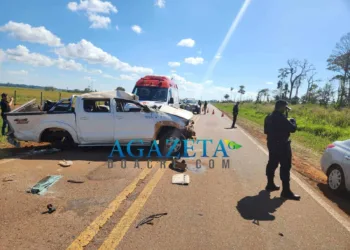 Idosa de 92 anos morre após carro capotar na BR-317