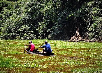 Semapi divulgou a programação completa do Mês do Meio Ambiente. Foto: Mirna Caniso/Semapi